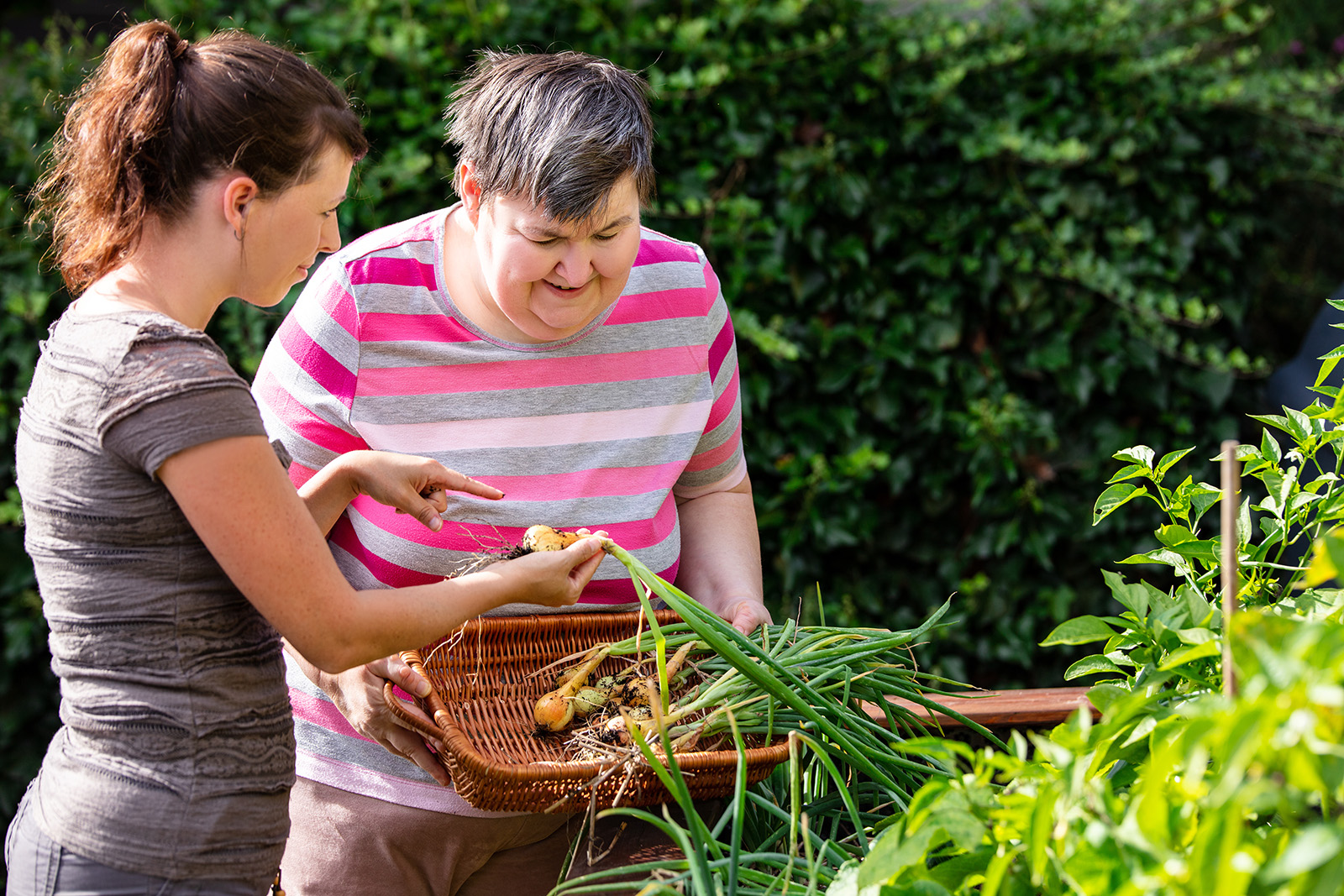 Adult occupational therapy in a garden