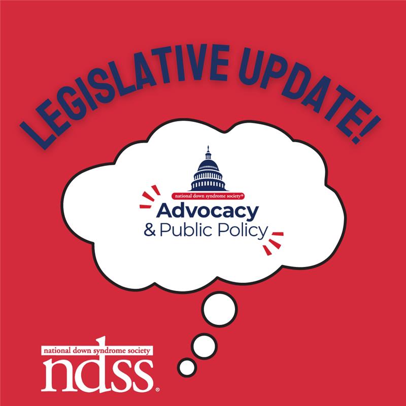 ndss legislative update