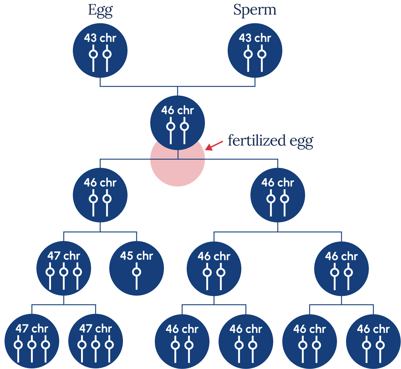 is down syndrome a dominant or recessive trait