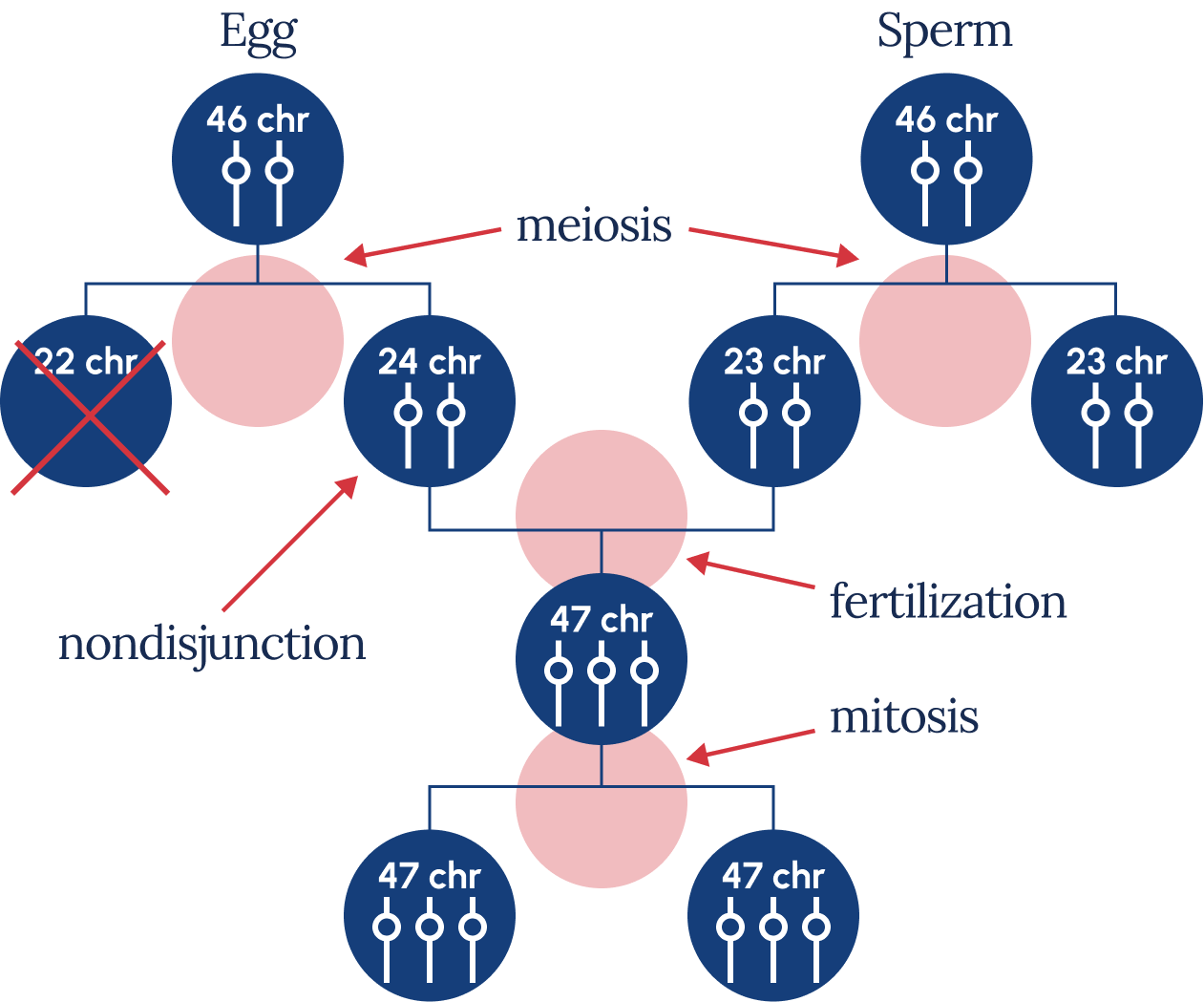 is down syndrome a dominant or recessive trait