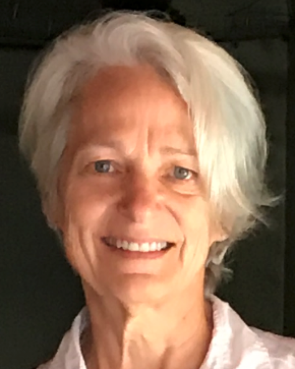 Headshot of Dr. Stephanie Sherman, a woman with white hair, wearing a light pink collared shirt.
