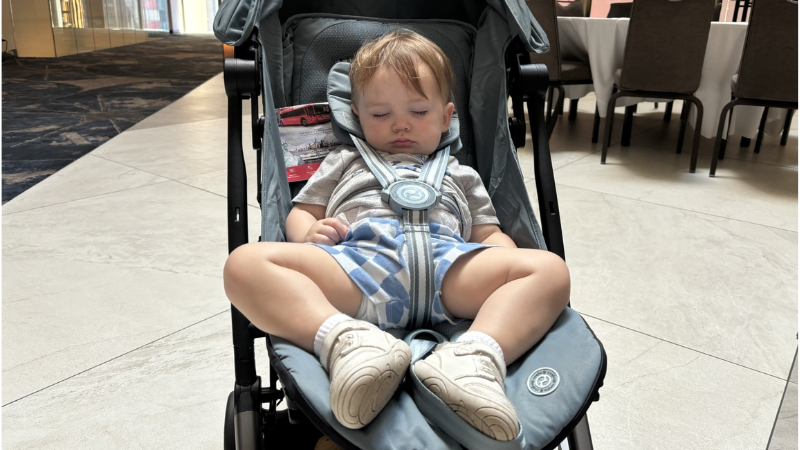 Image of a toddler with Down syndrome sleeping in his stroller.