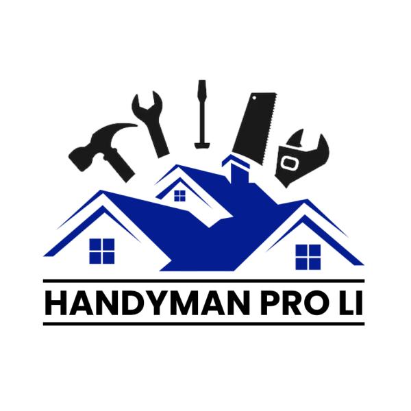 Handyman Pro Li. Graphic of a blue house with black tools surrounding it.