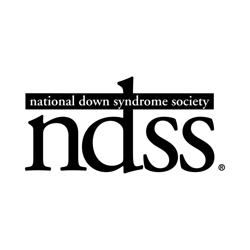NDSS logo