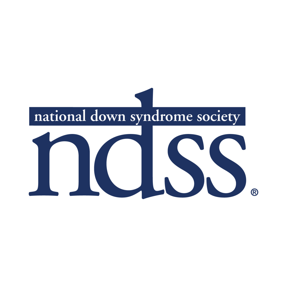 NDSS logo