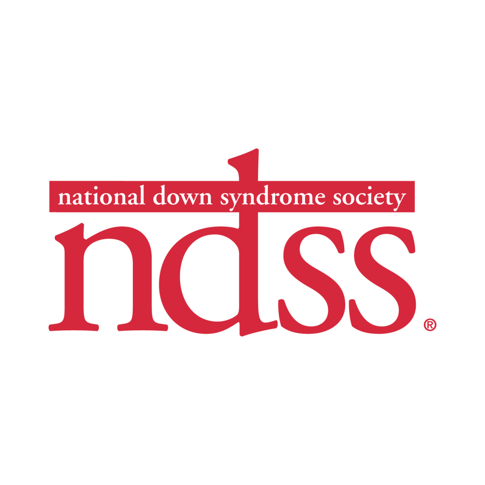 NDSS logo