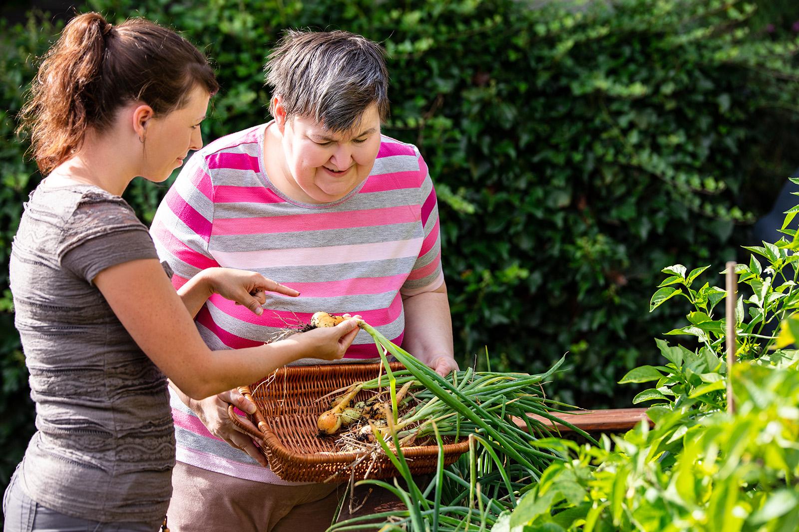 Adult occupational therapy in a garden