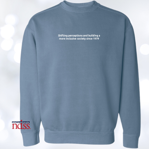 ndss 45th anniversary sweatshirt