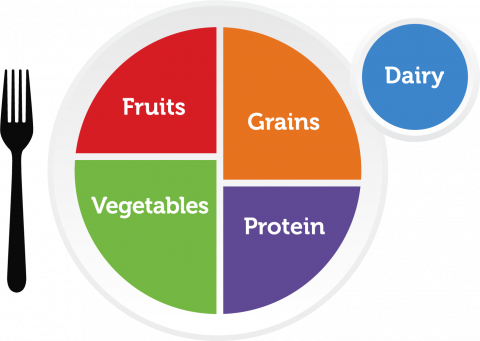 MyPlate image shows a plate with sections for Fruits, Grains, Vegetables, and Protein. A cup of Dairy is to the side.