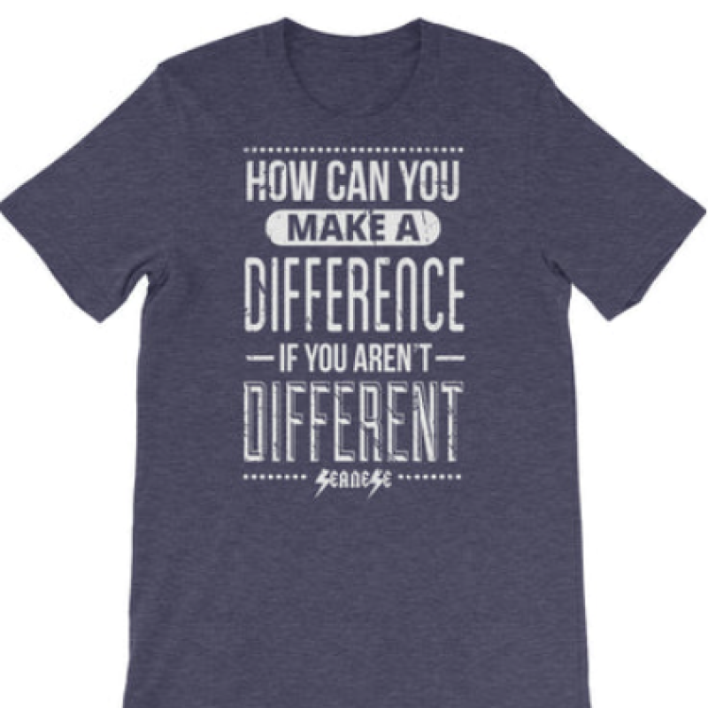 how_can_you_make_a_difference_if_you_aren't_different_t_shirt