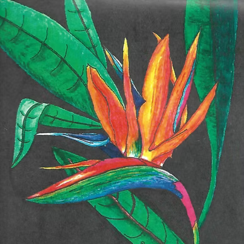 Art Prints